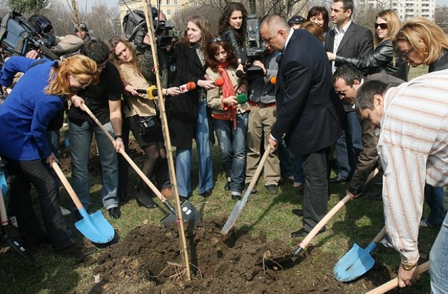 Засадиха 130 дървета за 130-годишнината от обявяването на София за столица