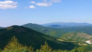 Заменки под секрет