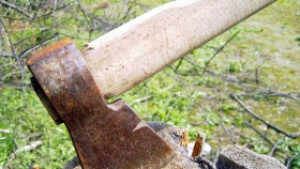 Кризата посече пазара на дървесина