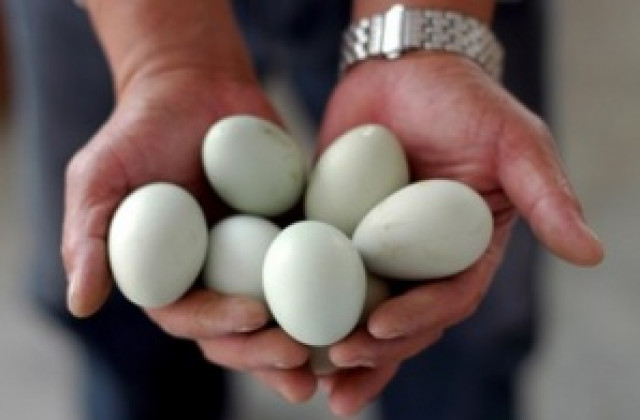 Няма драстични нарушения при проверките на яйца и агнешко месо
