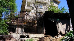 Стадо кози повече от 10 години тормози жителите на габровски