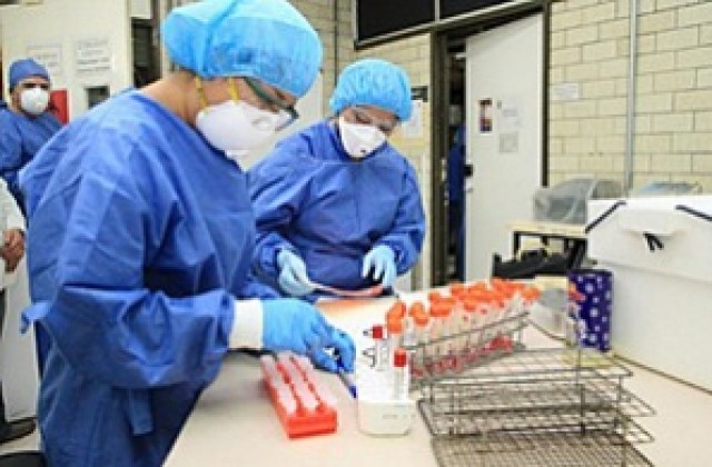 Вирусът на свинския грип бил създаден погрешка в лаборатория?