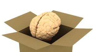 Българите послаба ракия от датчаните