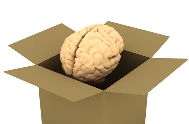 Българите - по-слаба ракия от датчаните?