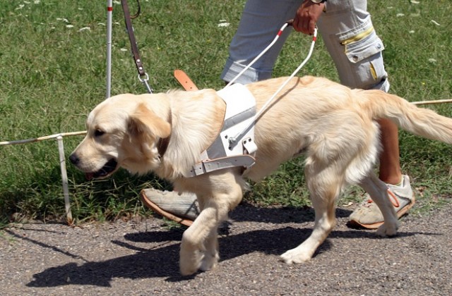 Над 18 000 са слепите хора в България