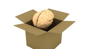 Свободата като тест за интелигентност