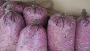 Розовата кампания напрежение и недоволство