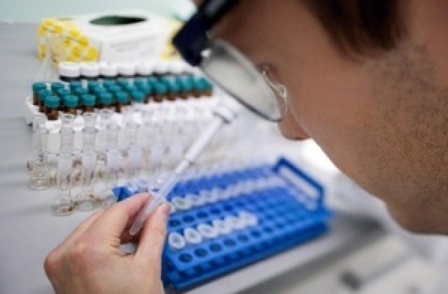 Изследват 7 проби със съмнения за свински грип