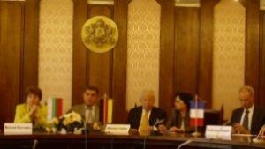 МПлугчиева Дунав мост не се стопанисва добре нуждае се от