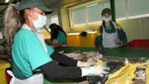 500 търговски обекта в София събират отпадъците разделено