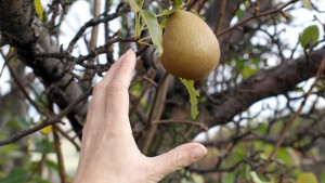 Кризата докара невиждан глад