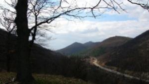 ЮНЕСКО разглежда случая Пирин на годишната си среща
