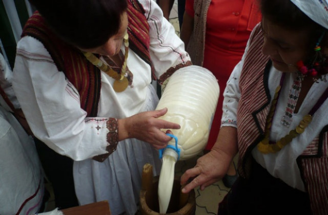 Над 400 участници в Панаира на киселото мляко в Разград