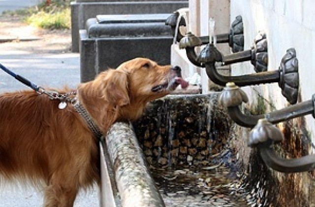 Идват жеги, разкриват медицински пунктове