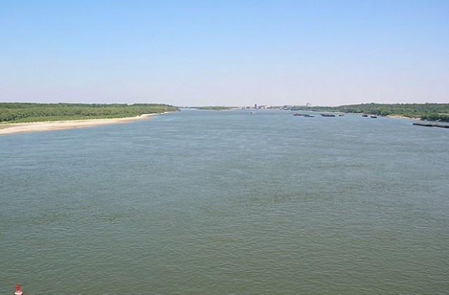 Стартира традиционното масово преплуване на Дунав край Свищов