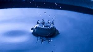 Лустрация без портфейл