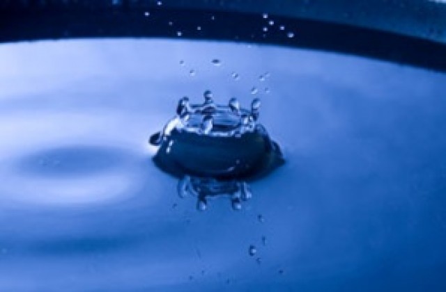 Лустрация без портфейл