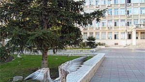 Холдинг Варна инвестира 731 млн лв в Алея Първа