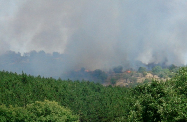 Пожарът край Стара Загора е ликвидиран