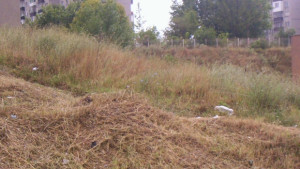 Казанлък кв Изток забравен от общинските косачи
