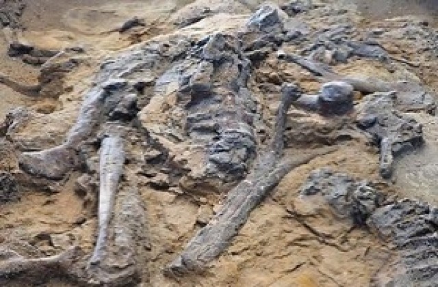 Откриха човешки скелети в центъра на Пазарджик