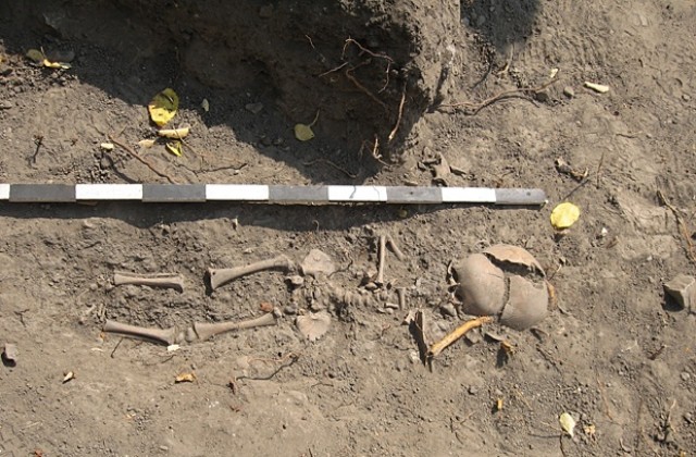 Откриха гроба на шута на Червенския болярин