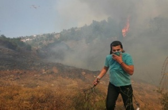 Горските пожари достигнаха предградия на Атина