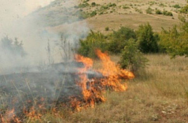 Овчари подпалили Симеоновградско?