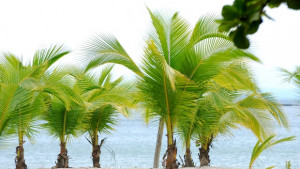 Ако имате мечти но нямате пари интернет може да помогне