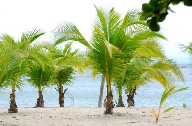 Ако имате мечти, но нямате пари, интернет може да помогне