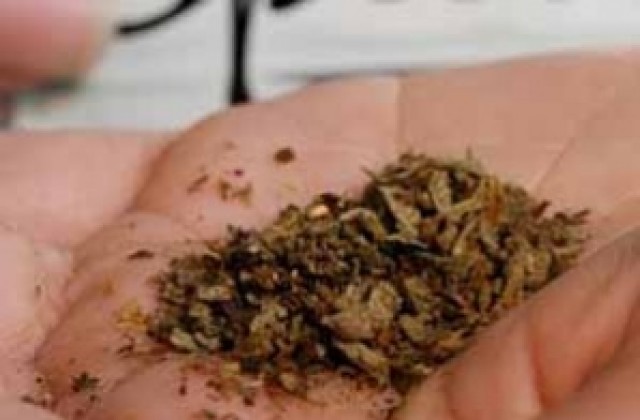 Над половин тон марихуана иззеха полицаи от Петричко