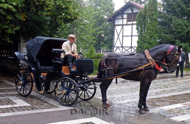 Митоорозовият файтон се разходи по врачанските улици