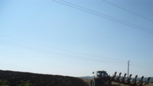 Започна сеитбата на жито в Разградско рапицата поникна