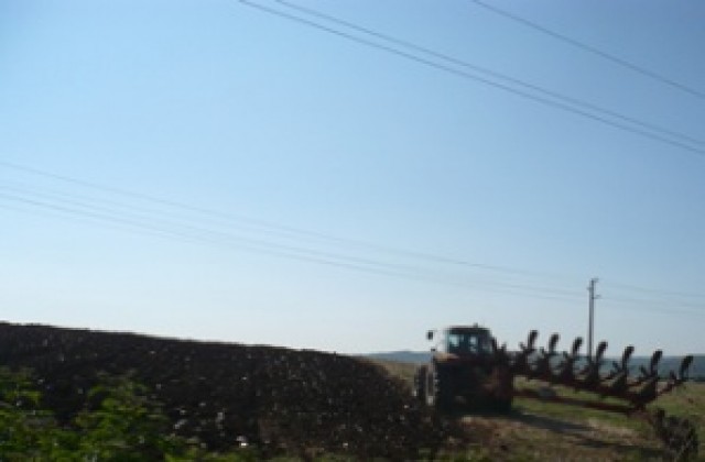 Започна сеитбата на жито в Разградско, рапицата поникна