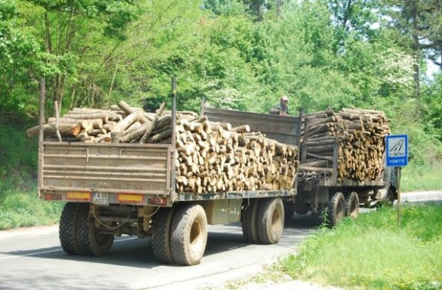 Задържаха камион с крадени дърва