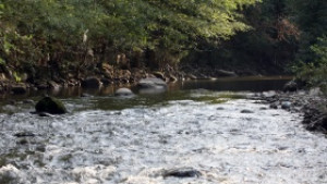 Екоорганизация Водните канали и реките се нуждаят от сериозно почистване