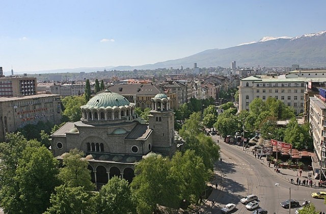 Засаждат 300 нови дървета в столицата