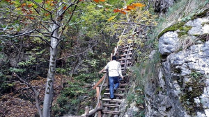 Ден на интензивното ходене във Враца