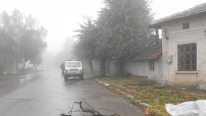 Дете почина след нападение от кучета