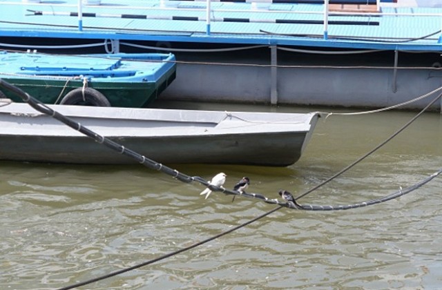 Една добра снимка въпреки правилата