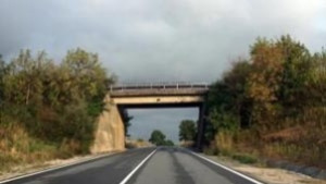 Отмениха реорганизацията по пътя Русе Варна в района на Шумен