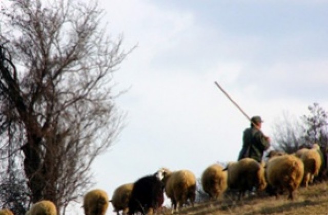 Заклаха мъж от село Глухар заради ливада