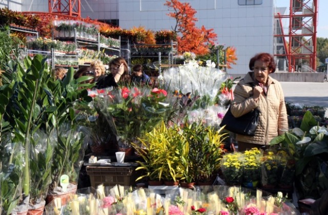 Киви, бонсаи и водни растения на Цветна есен 09