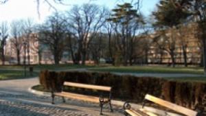 Почистват коритото на река Добричка