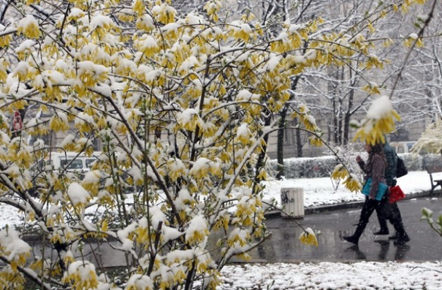 Сняг превалява в София