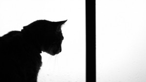 Фатален ли е петък 13и