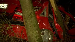 Кола се блъсна в дърво пътник загина в Разградско