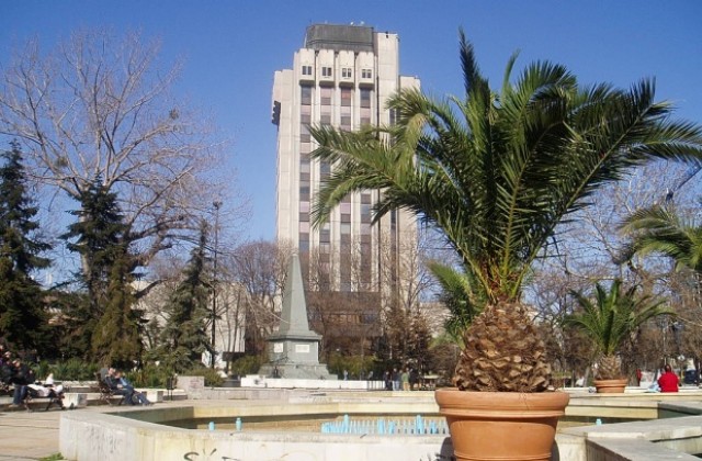 Общината дава 7,5 млн. лева за поддръжка на дървета и градинки