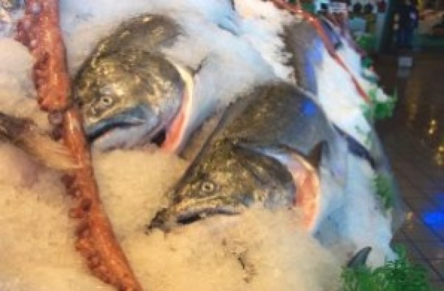 Рибните тържища в Пловдивско са изрядни