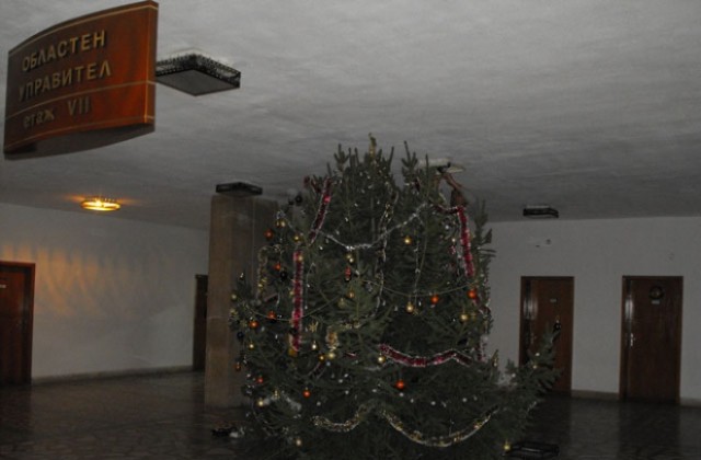 Подариха Коледна елха на Областния управител на Разград